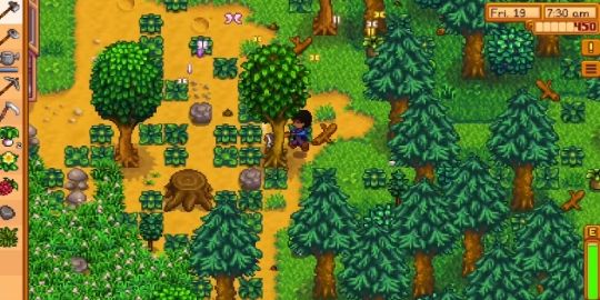 Stardew Valley